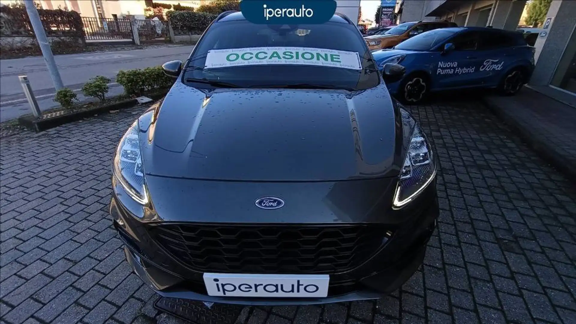 Ford Kuga 1.5 ecoblue st-line x 2wd 120cv auto Grau - 2