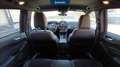 Ford Kuga 1.5 ecoblue st-line x 2wd 120cv auto Grau - thumbnail 14