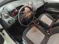 SEAT Ibiza 1.0 EcoTSI S&S Reference 95 Blanc - thumbnail 6