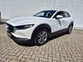 Mazda CX-30 G122 COMFORT+ Weiß - thumbnail 3