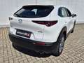 Mazda CX-30 G122 COMFORT+ Weiß - thumbnail 7