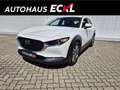 Mazda CX-30 G122 COMFORT+ Weiß - thumbnail 1