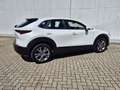 Mazda CX-30 G122 COMFORT+ Weiß - thumbnail 6