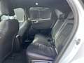 Ford Kuga 2.5 PHEV ST-Line X | Head-UP | Adaptive Cruise C. Blanc - thumbnail 17