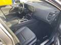 Lexus NX 350h EXECUTIVE 4x4 Technologie+Interieur Paket Pano Szary - thumbnail 12