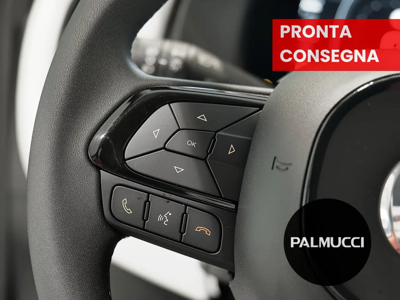 Fiat Panda Pandina Cross 1.0 firefly hybrid s 6