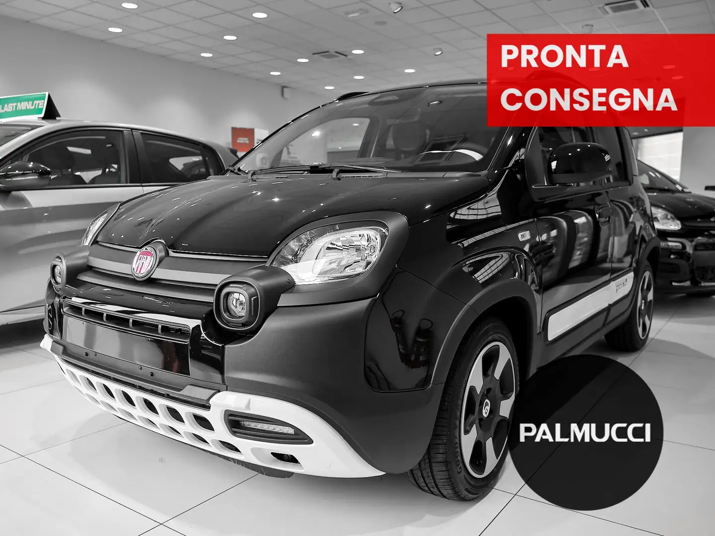 Fiat Panda Pandina Cross 1.0 firefly hybrid s - 1