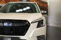 Subaru Forester 2.0i Hybrid Executive Plus CVT Blanco - thumbnail 5