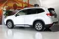 Subaru Forester 2.0i Hybrid Executive Plus CVT Blanco - thumbnail 14