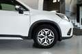 Subaru Forester 2.0i Hybrid Executive Plus CVT Blanco - thumbnail 8