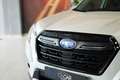 Subaru Forester 2.0i Hybrid Executive Plus CVT Blanco - thumbnail 10