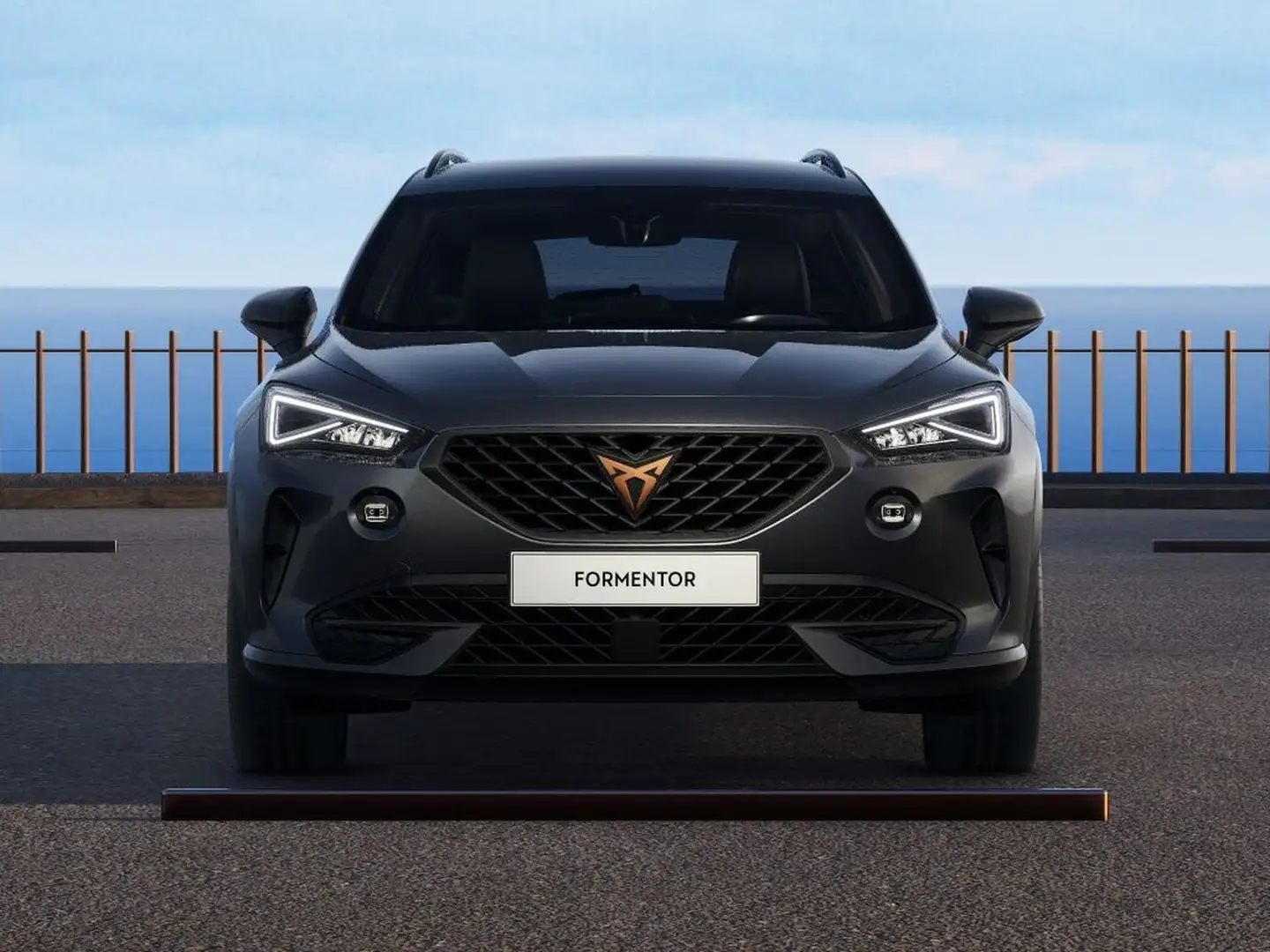 CUPRA Formentor 1.5 tsi dsg Grigio - 2