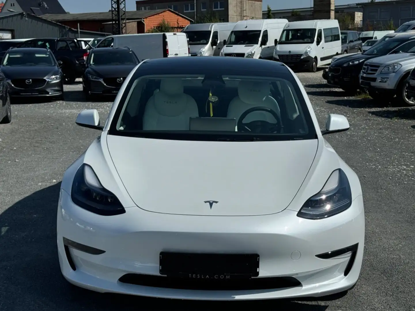 Tesla Model 3 Performance Weiß - 2
