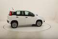 Fiat Panda Easy Natural Power 0.9 Metano 85CV Biały - thumbnail 6