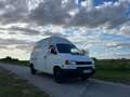 Volkswagen T4 2,5L TDI Lang und Hoch Weiß - thumbnail 6