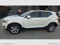 Volvo XC40 D3 Inscription Weiß - thumbnail 2