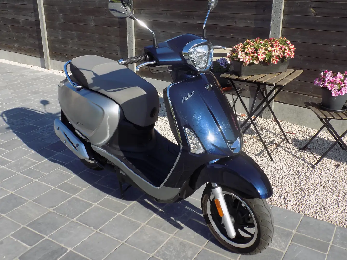 Kymco Like 50 Klasse B Blau - 2