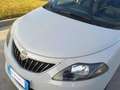 Lancia Ypsilon 1.0 FireFly 5 porte S&S Hybrid Ecochic Gold Gris - thumbnail 6