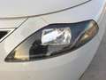 Lancia Ypsilon 1.0 FireFly 5 porte S&S Hybrid Ecochic Gold Gris - thumbnail 12