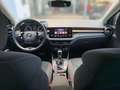 Skoda Fabia 1.0 TSI Style OPF Grau - thumbnail 8