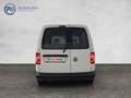 Volkswagen Caddy Kastenwagen TDI Weiß - thumbnail 5