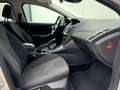 Ford Focus ✅1.6 TDCi Titanium GARANTIE Cruise C Parksensor Plateado - thumbnail 8