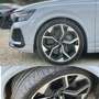 Audi RS Q8 RS Q8 4.0 mhev quattro tiptronic  pronta consegna Bílá - thumbnail 12