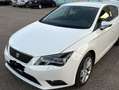 SEAT Leon Leon 1.6 tdi cr Style Bianco - thumbnail 4