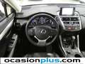 Lexus NX 300 300h Executive 4WD Tecno + Navibox Alb - thumbnail 28