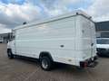 Mercedes-Benz Vario 613 D Maxi Hoch+Lang *1.Hand*Deutsches FZ Blanc - thumbnail 14