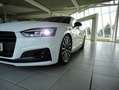Audi A5 Sportback S line TFSI quattro s-tronic Black Editi Blanco - thumbnail 25