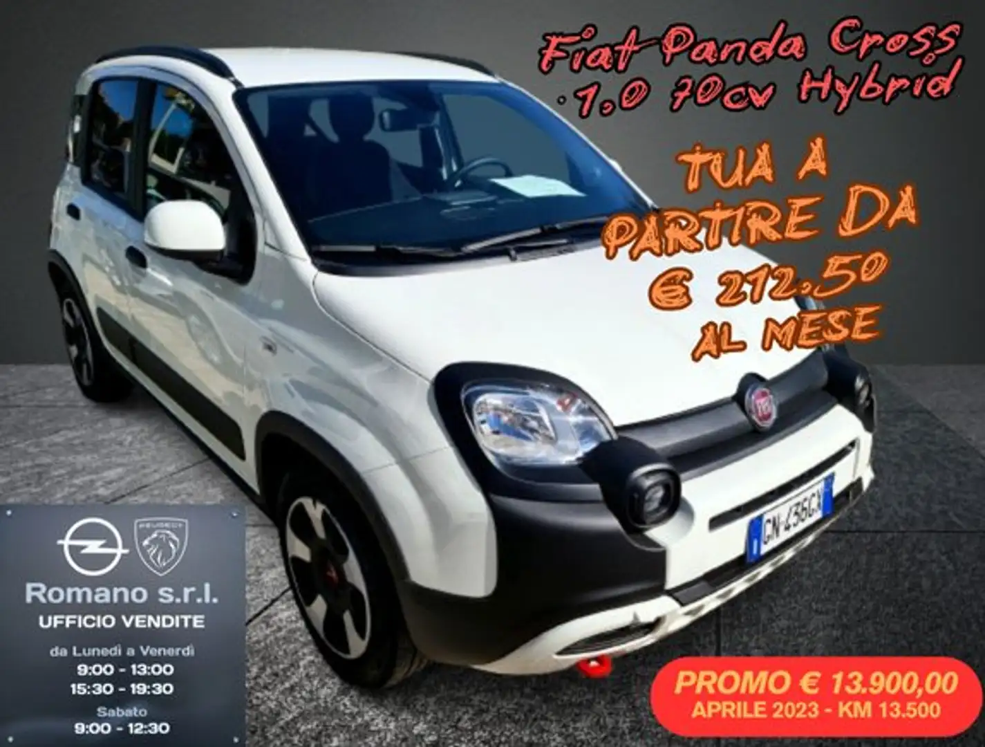 Fiat Panda Panda 1.0 firefly hybrid City Cross Blanc - 1
