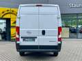 Opel Movano Kasten L4H2 3.5T 2.2 Diesel 165 PS Weiß - thumbnail 6