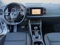 Skoda Karoq Executive 2.0 TDI 110 kW (150 CV) 7 marce - DSG 4 Argento - thumbnail 7
