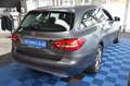 Mercedes-Benz C 220 d T BlueTec *9 G AUTOMATIK*NAVI*SITZHZG*AHK Gris - thumbnail 4