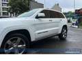 Jeep Grand Cherokee 3.0 CRD Summit*Pano*4x4*H+K*CarP Weiß - thumbnail 16