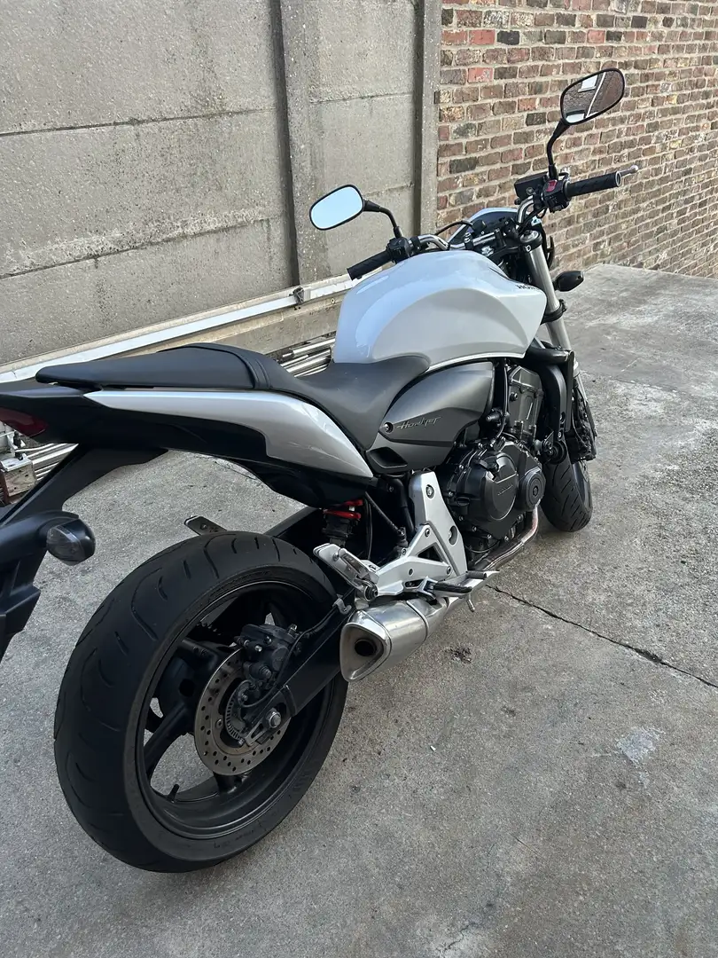 Honda Hornet cb600 f Blanc - 2