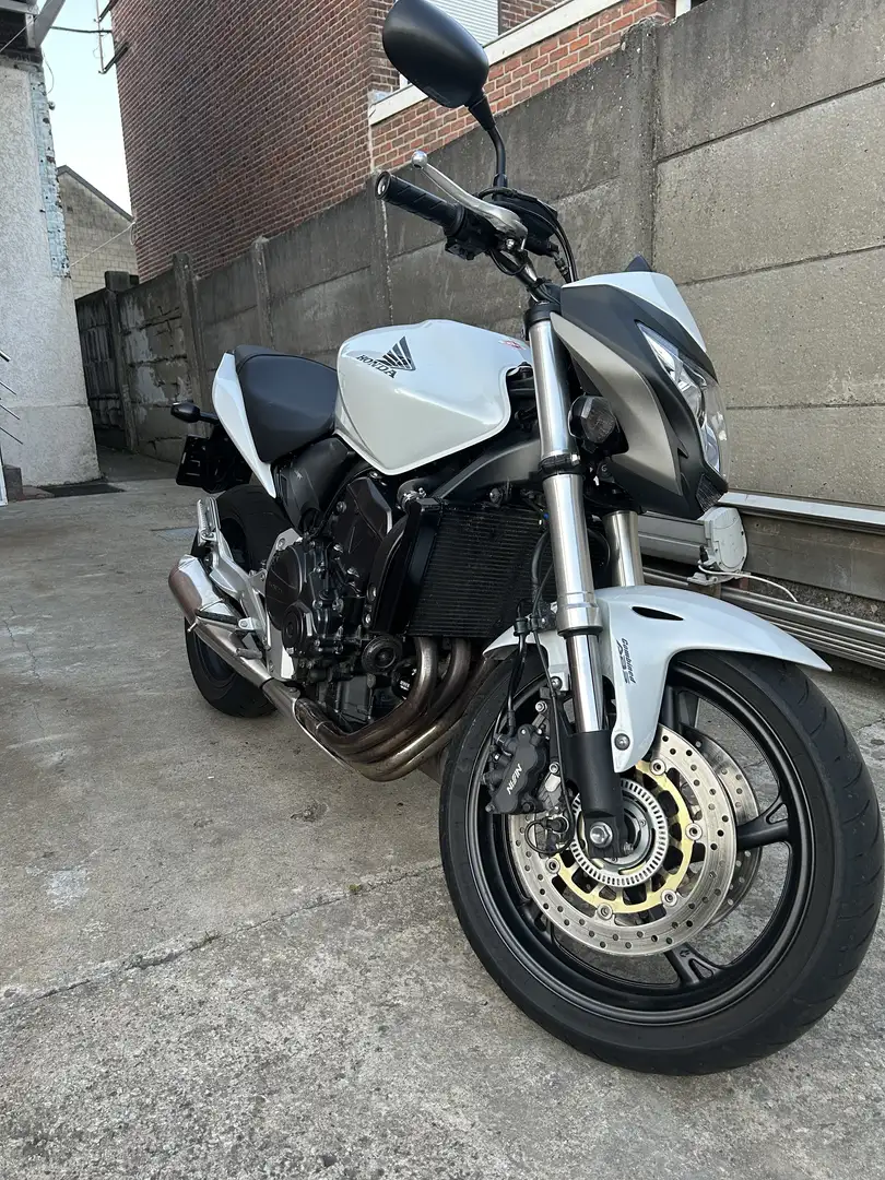 Honda Hornet cb600 f Blanc - 1