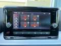 SEAT Arona FR 1.0 TSI Grau - thumbnail 14