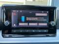 SEAT Arona FR 1.0 TSI Grau - thumbnail 13