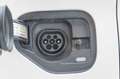 SEAT Leon 1.4 e-hybrid xcellence go opf Blanco - thumbnail 10