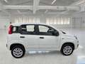 Fiat Panda 0.9 TwinAir Turbo Natural P. E6d-T Easy 5 PORTE - thumbnail 3