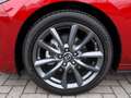 Mazda 3 M-Hybrid Selection G-150 AT LEDER-S PRE-P DES-P el Rot - thumbnail 8
