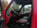 Iveco Daily Rouge - thumbnail 6