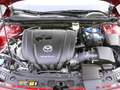 Mazda 3 SKYACTIV-G 2.0 SELECTION 18"LM Navi LED Bose Rot - thumbnail 5