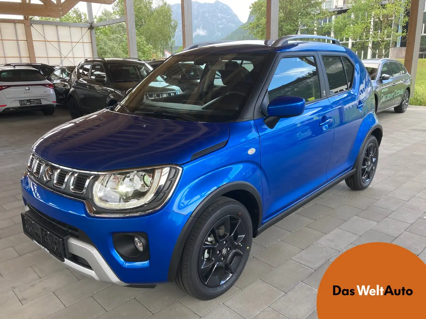 Suzuki Ignis 1,2 Dualjet Hybrid Allgrip Shine Blau - 1