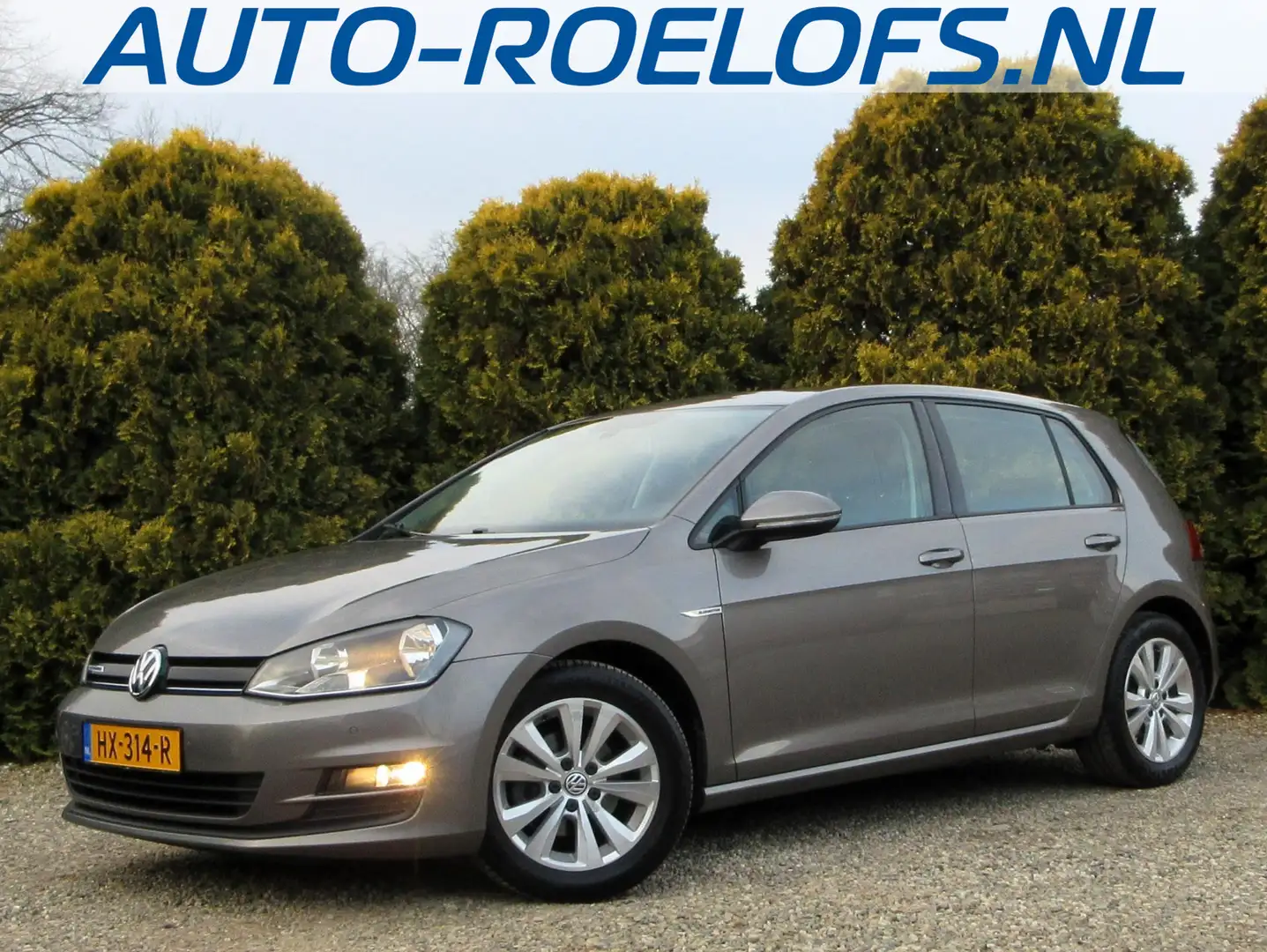 Volkswagen Golf 1.0 TSI Comfortline*Navi*Cruise*Pdc* Grijs - 1