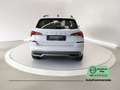 Skoda Kamiq 1.0 TSI 110 CV Ambition Weiß - thumbnail 5
