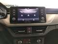 Skoda Kamiq 1.0 TSI 110 CV Ambition Weiß - thumbnail 14