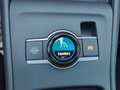 Volkswagen Tiguan Friends TDI DSG Blau - thumbnail 20